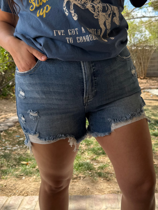 Risen Distressed Shorts