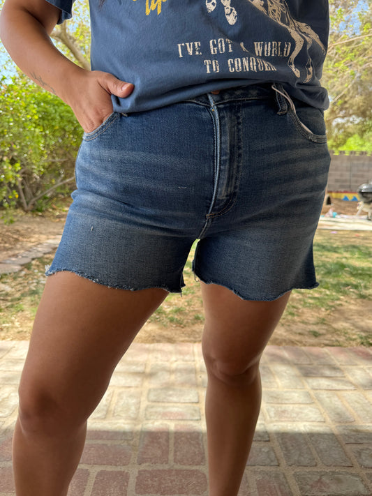 Risen Cut Off Shorts