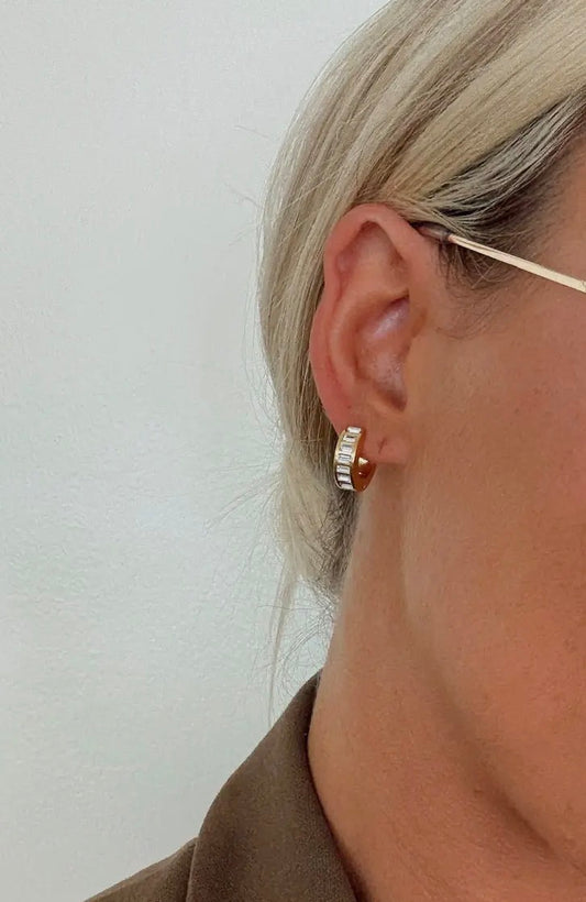 Ashley Hoop Ear Rings