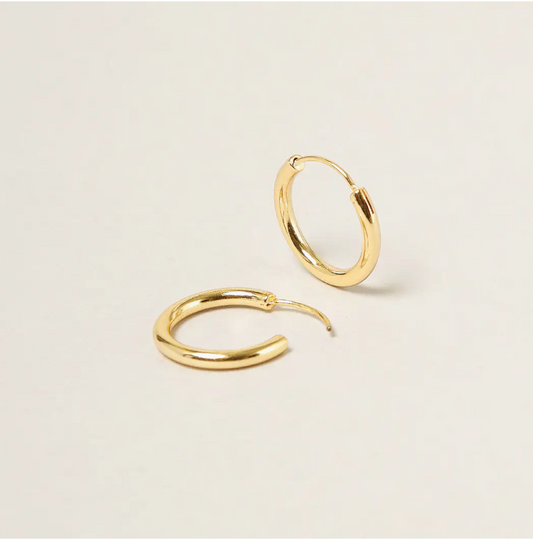 The Mini Hoops